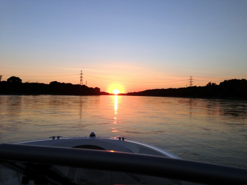 Sonnenuntergang in den Donauauen